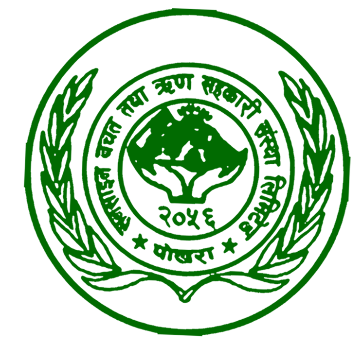 cropped sunshine logo 1
